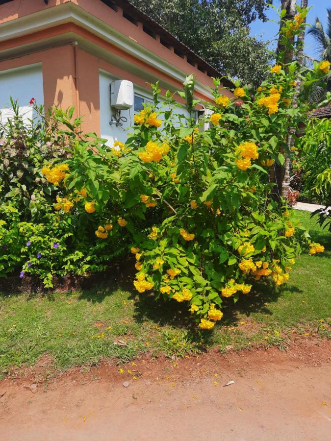 Villa Sunflower Cavelossim Kültér fotó